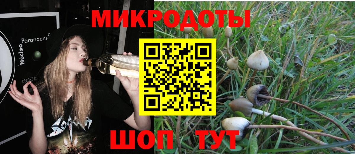 Галлюциногенные грибы Psilocybine cubensis Кашира