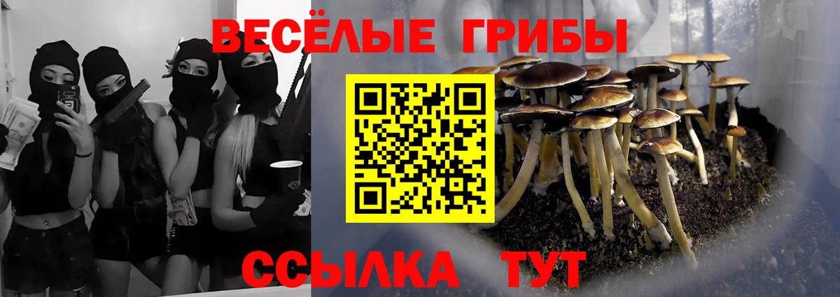 Псилоцибиновые грибы MAGIC MUSHROOMS  Вход с VPN  Кашира  Галлюциногенные грибы мицелий 